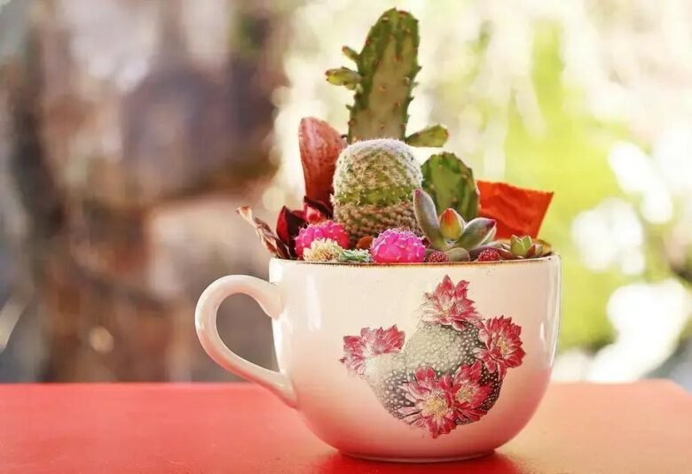 A Arte de Combinar: Guia para Criar Arranjos com Cactos e Suculentas