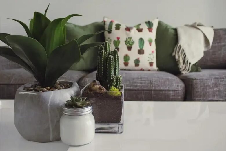 Decoração Sustentável: Integre Terrários e Minijardins ao Estilo da Sua Casa