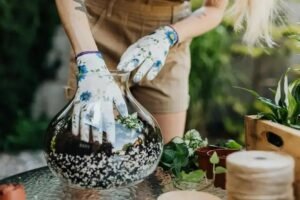 DIY de Bem-Estar: Criando Seu Próprio Terrário para Desconectar e Relaxar