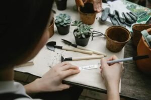 Ferramentas Indispensáveis: Montando Seu Kit Básico de Manutenção de Terrários