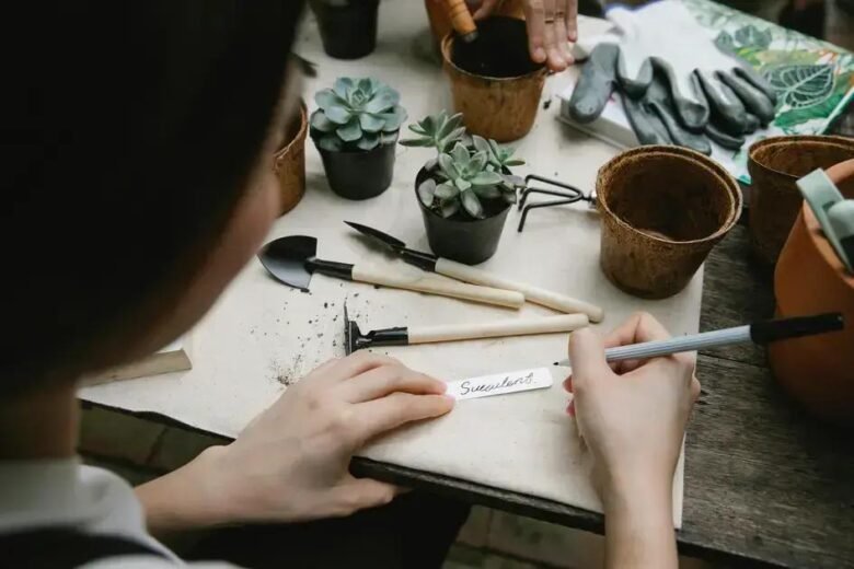 Ferramentas Indispensáveis: Montando Seu Kit Básico de Manutenção de Terrários