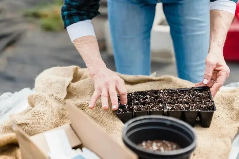 Materiais de Drenagem para Terrários: Qual Escolher e Por Quê?