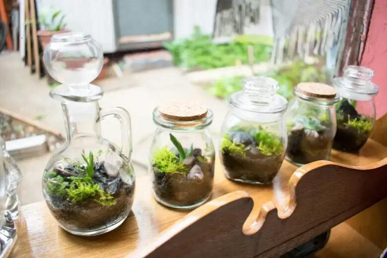 Minijardins: Como Levar o Verde Para Pequenos Espaços -Soluções Charmosas e Compactas