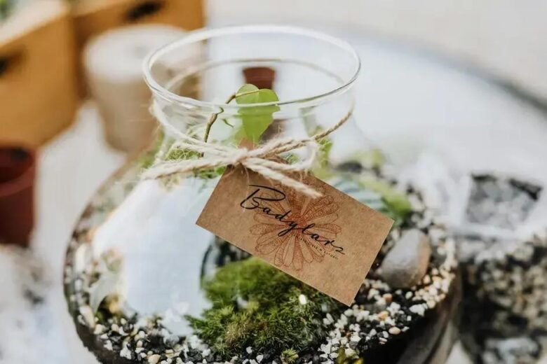 Terrários e Minijardins Presenteie com Vida: como Mimos Criativos e Inesquecíveis