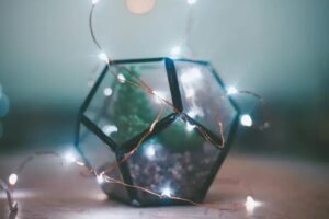 Terrários para Eventos: Como Incorporar o Charme Verde em Celebrações Memoráveis