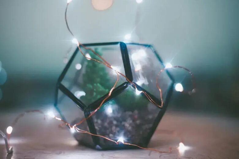 Terrários para Eventos: Como Incorporar o Charme Verde em Celebrações Memoráveis